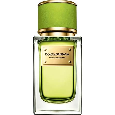 dolce gabbana velvet bergamot|velvet mughetto dolce and gabbana.